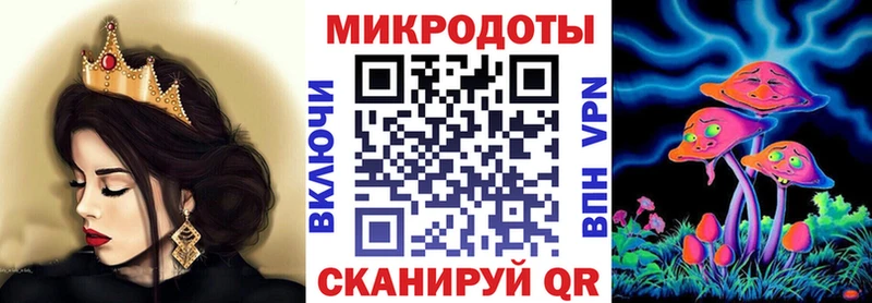 ссылка на мегу зеркало  Боровичи  Псилоцибиновые грибы Psilocybe 