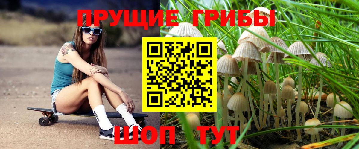 Псилоцибиновые грибы Magic Shrooms Боровичи